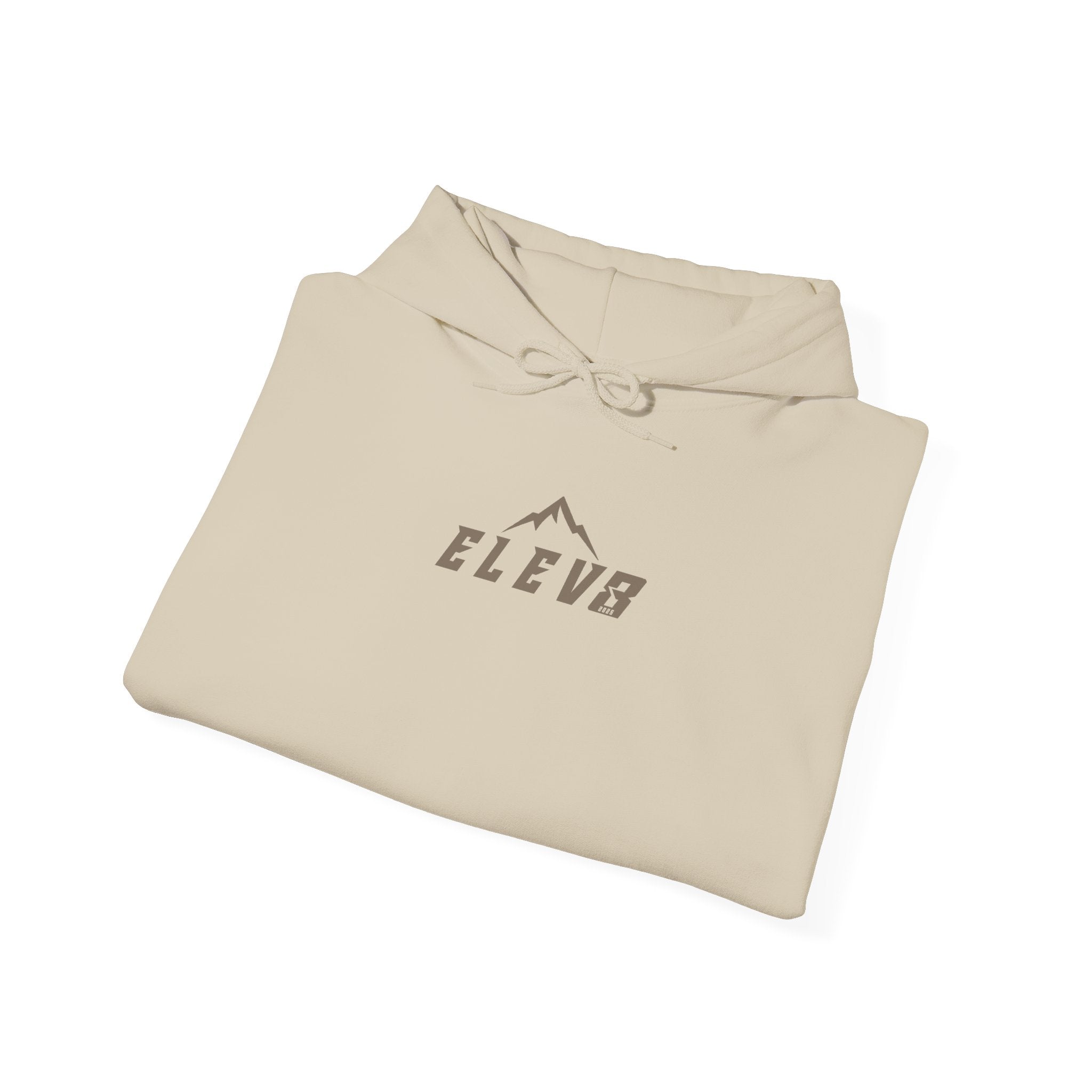 ELEVATE YOUR FAITH HOODIE (100% COTTON)