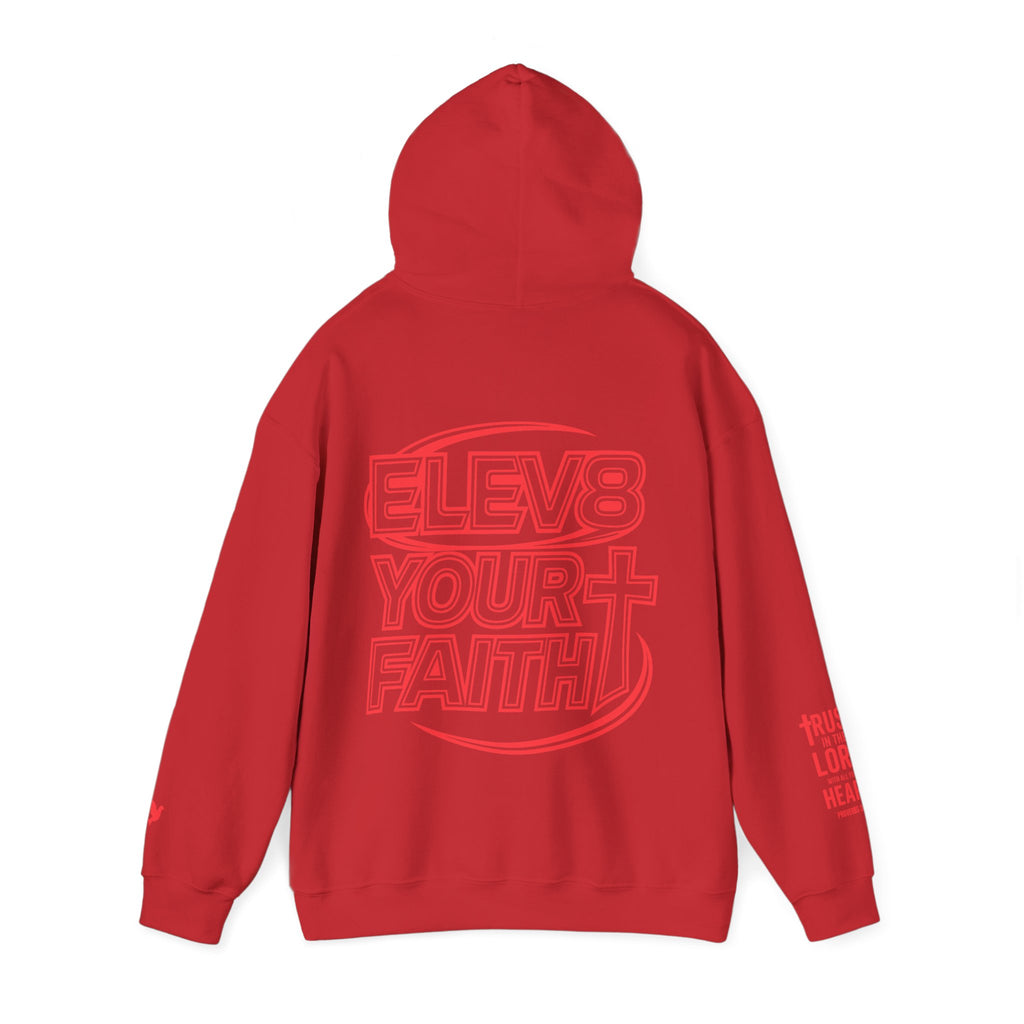 ELEVATE YOUR FAITH HOODIE (100% COTTON)