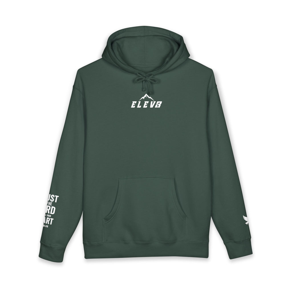 ELEVATE YOUR FAITH HOODIE (HEAVY COTTON)