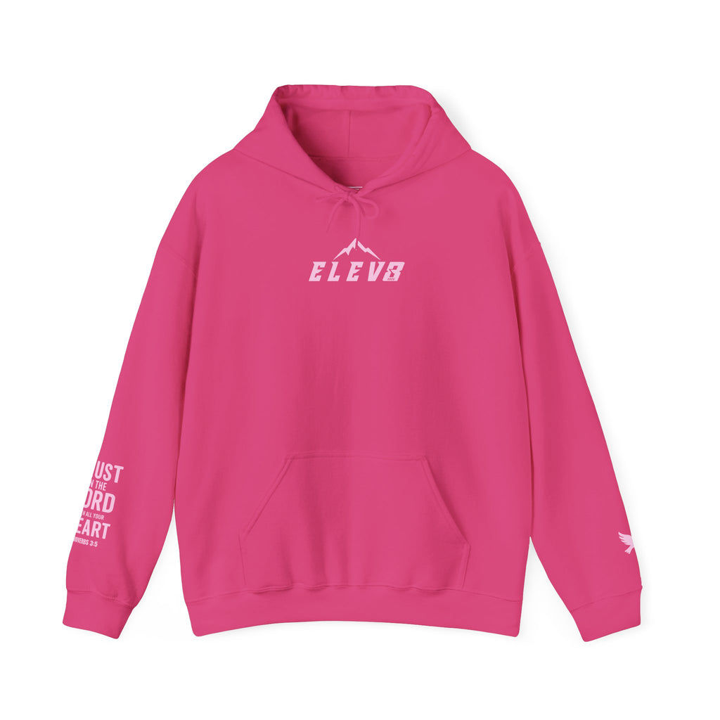 ELEVATE YOUR FAITH HOODIE PINK