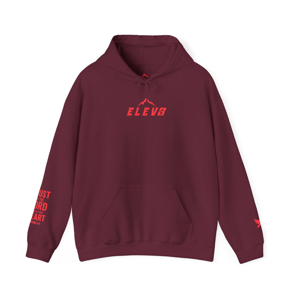 ELEVATE YOUR FAITH HOODIE (100% COTTON)