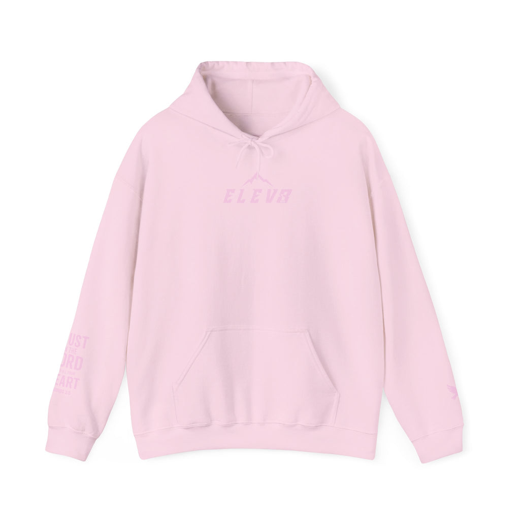 ELEVATE YOUR FAITH HOODIE PINK