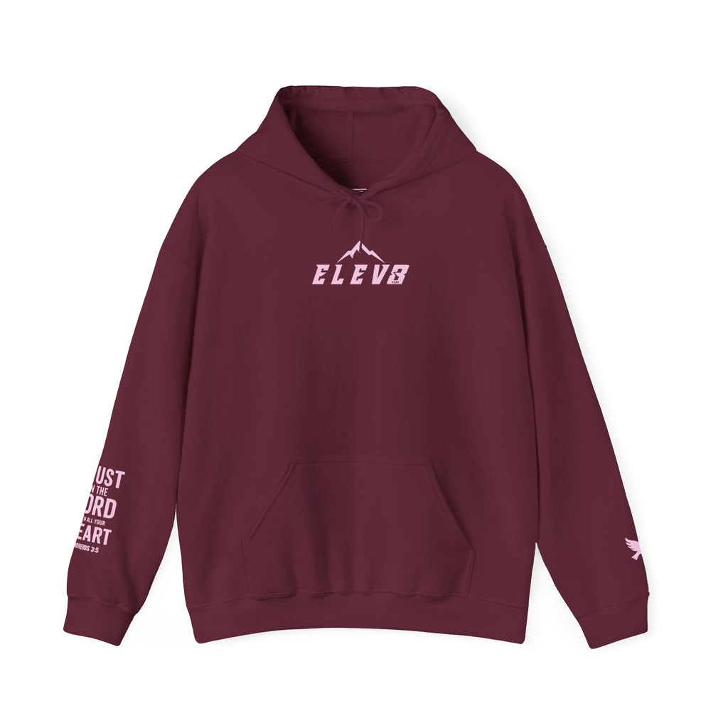 ELEVATE YOUR FAITH HOODIE PINK