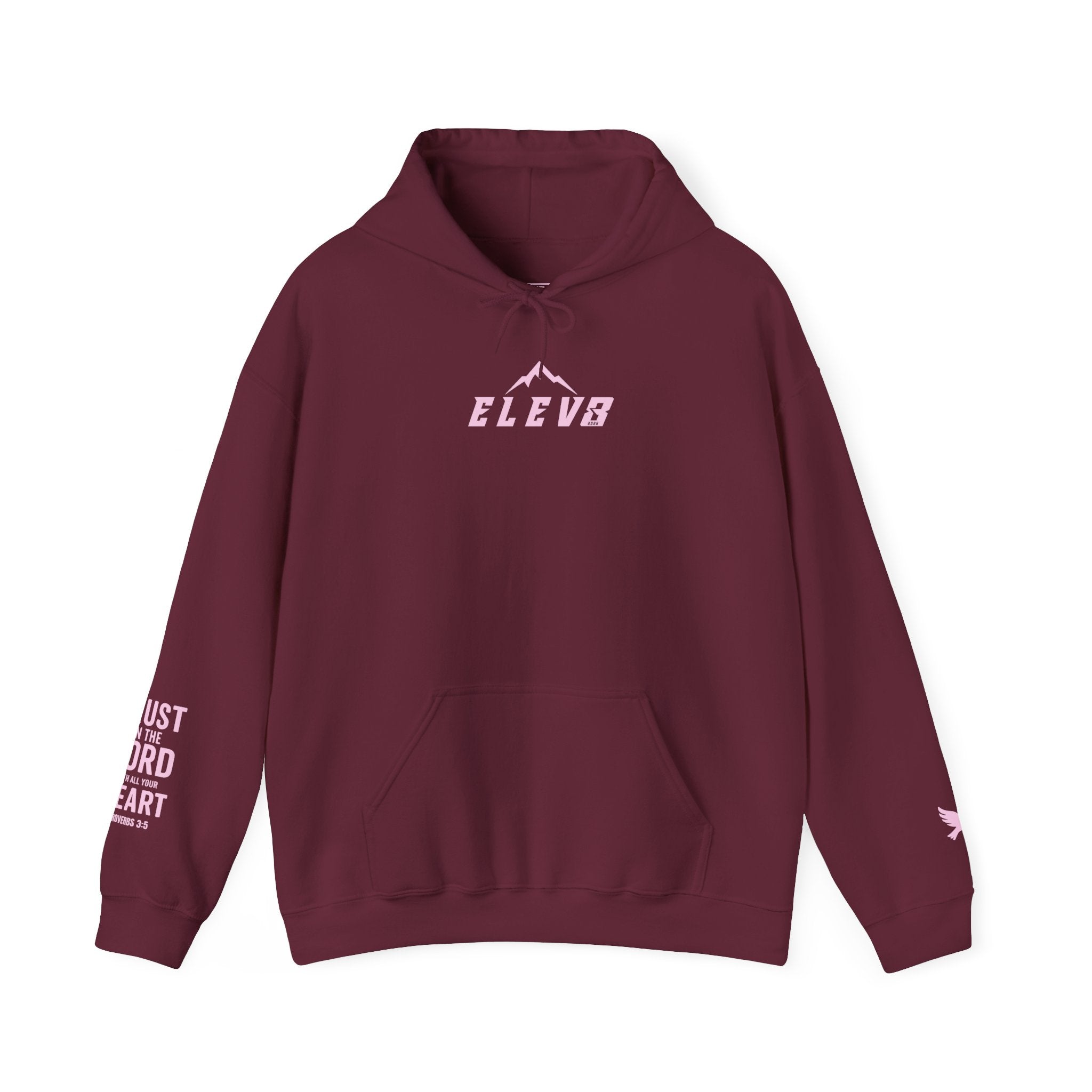 ELEVATE YOUR FAITH HOODIE PINK